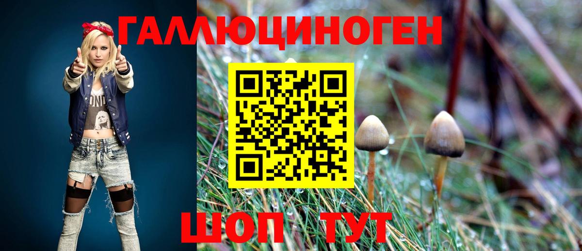 Псилоцибиновые грибы GOLDEN TEACHER Пенза