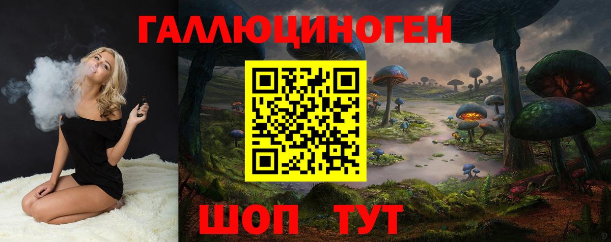 Пенза  Галлюциногенные грибы Cubensis  Вход с VPN 